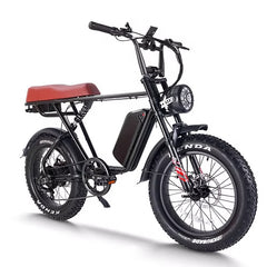 20" Black Fat Tire Passenger Electric Bike -B66