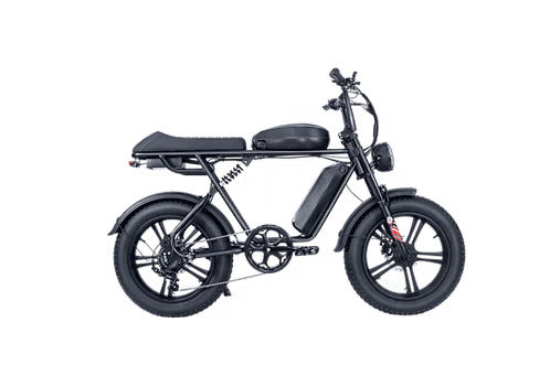 20" Black Fat Tire Passenger Electric Bike -B66