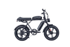 20" Black Fat Tire Passenger Electric Bike -B66