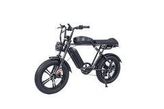 20" Black Fat Tire Passenger Electric Bike -B66 B66X: PICKUP