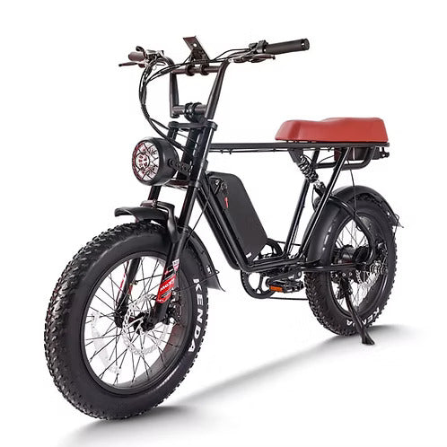 20" Black Fat Tire Passenger Electric Bike -B66 B66: PICKUP