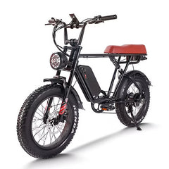 20" Black Fat Tire Passenger Electric Bike -B66 B66: PICKUP
